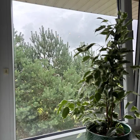 Pas Kastyti Apartament Połąga